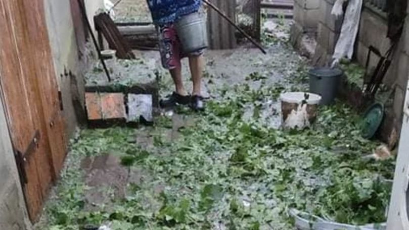 В Каушанском районе хозяйства терпят убытки из-за ливня с градом.