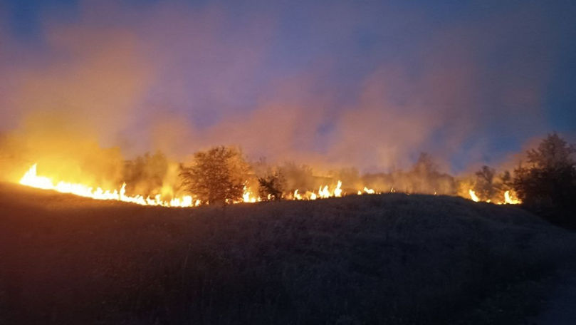 Incendiu de vegetație în zona de frontieră: Pompierii intervin