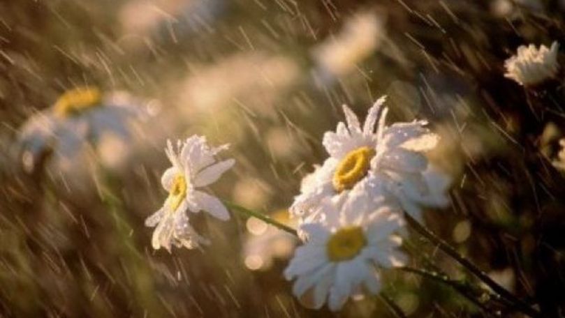 Meteo 3 iulie 2019: Vremea se răcorește. Zona în care va ploua
