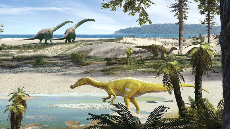 O nouă specie de dinozaur carnivor a fost descoperită în Spania