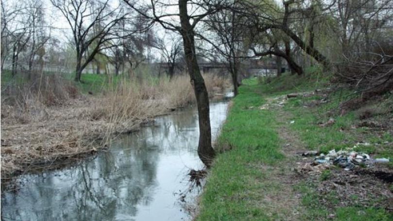 România oferă 10 milioane de euro pentru curățarea râului Bâc
