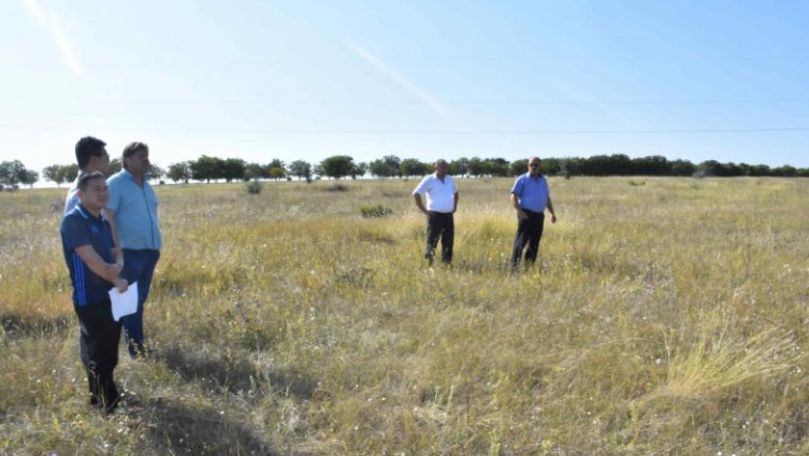 Представители из Китая хотят построить фотоэлектрический парк в РМ.