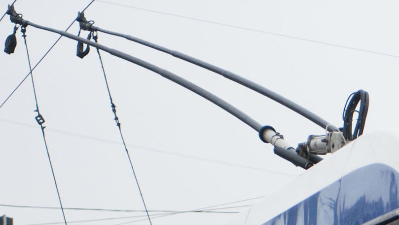 Un copac căzut peste firele electrice a afectat circulația troleibuzelor