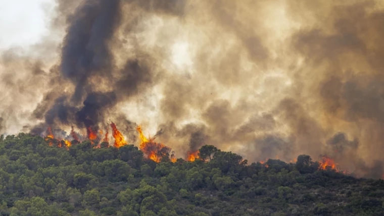 Incendii de vegetație în Transnistria: 45 de hectare, arse în 24 de ore