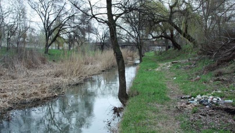 Municipalitatea a anunțat că va curăța albia râului Bâc