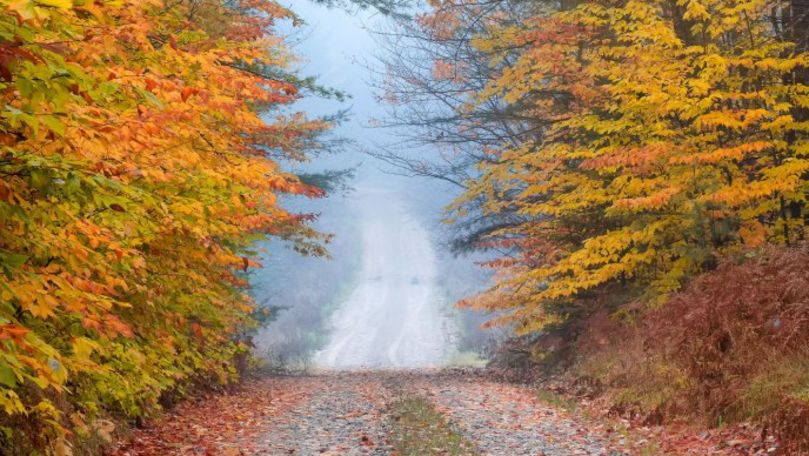 Vremea se răcește în weekend: Meteorologii anunță când va ploua