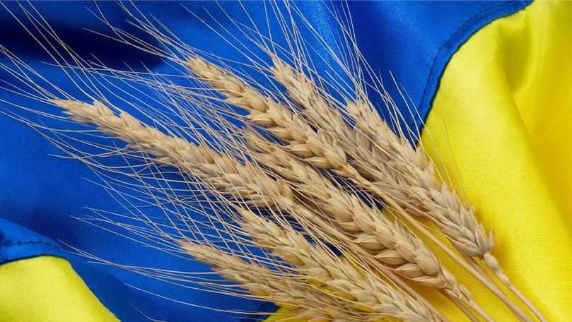 Cinci țări UE se opun noului acord comercial cu Ucraina