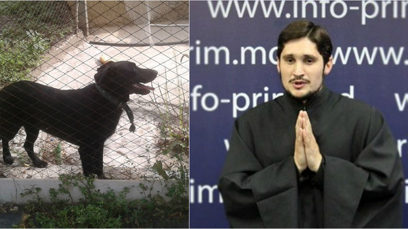 Preotul Ghenadie Valuța a mai prins un câine maidanez. Ce va face cu el