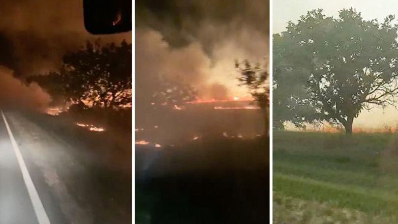 Fum dens, filmat la Comrat: Au ars 20 de hectare de vegetație