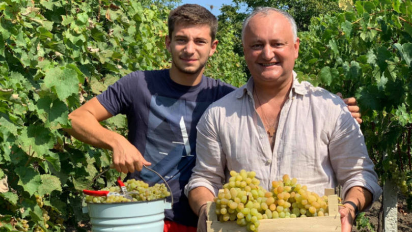 Mesajul adresat de Igor Dodon cu ocazia Zilei Vinului 2019