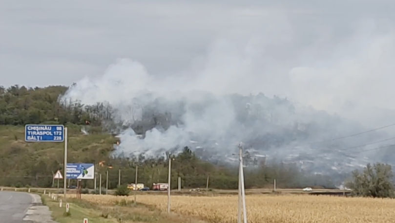 Incendiu de vegetație în zona de frontieră: Anunțul IGPF