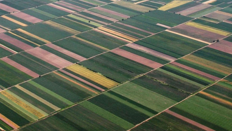 Гектар земли в Молдове стоит в 10 раз дешевле, чем в ЕС.