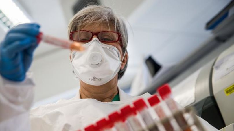 Germania a înregistrat 333 noi cazuri de coronavirus şi 11 decese
