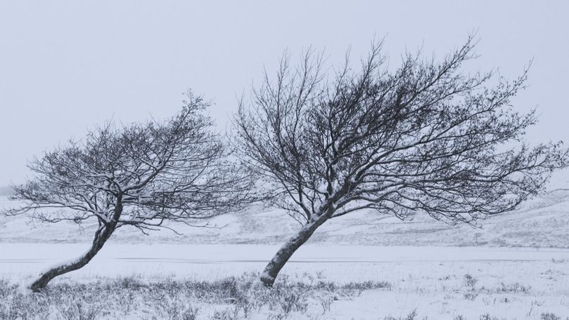 Cod galben de vânt puternic în toată țara. Avertismentul meteorologilor