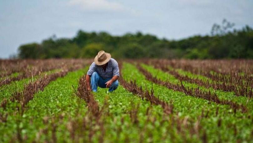 Agricultorii, obligați să aibă polițe de asigurare: Precizări oficiale