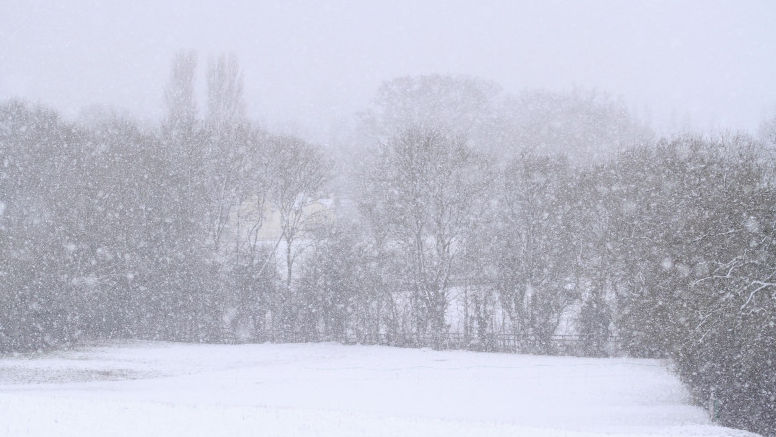 Meteo 26 noiembrie 2023: Ninsori, lapoviță și maxime de până la +3°C