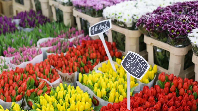 SFS, cu ochii pe HoReCa și comercianții de flori de 8 martie