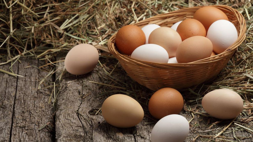 Deficit de ouă de găină în regiunea transnistreană