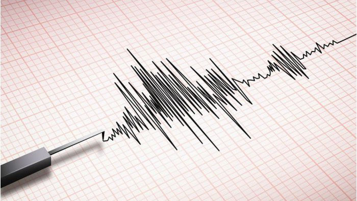 Cutremur în apropiere de R. Moldova: Cât de puternic a fost seismul