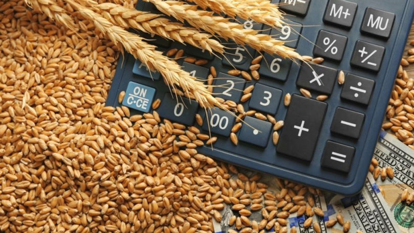 Cerealele și oleaginoasele domină exporturile Republicii Moldova