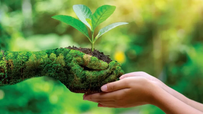 Ziua Mondială a Mediului: Apel pentru un viitor mai curat și mai verde