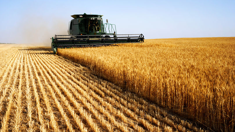 Creditul Agricol de Urgență: Au fost aprobate peste 190 de solicitări