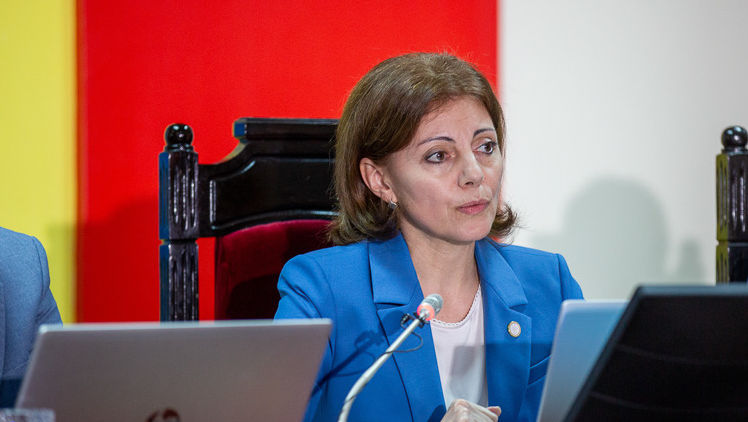 Angelica Caraman: CEC va monitoriza renumărarea voturilor la Boldurești