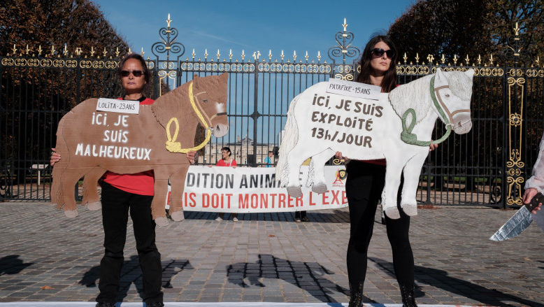 Plimbările cu ponei vor fi interzise în parcurile din Paris. Motivul