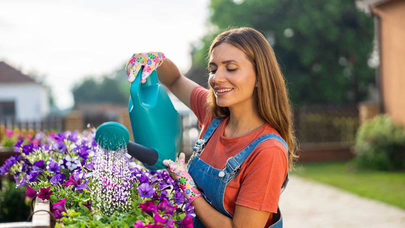 Cât de des este recomandat să uzi plantele vara, potrivit experților