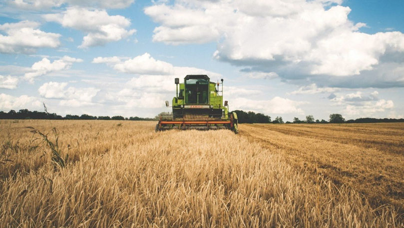 Dezastru la Ștefan Vodă: Agricultorii din regiune se plâng de secetă