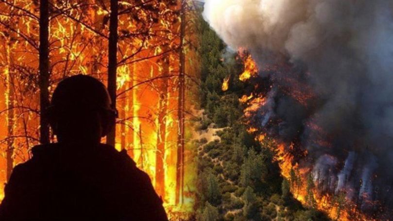 Arde Siberia: Trei milioane de hectare de pădure sunt în flăcări
