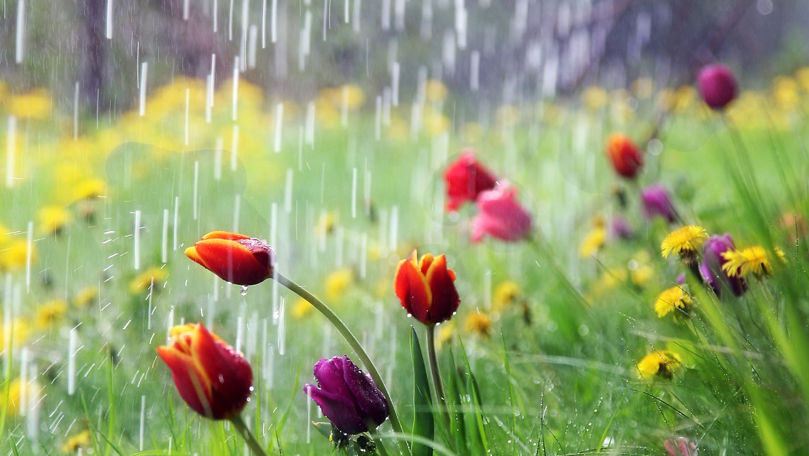 В Молдове сильные дожди пройдут в среду и продолжатся до конца недели.