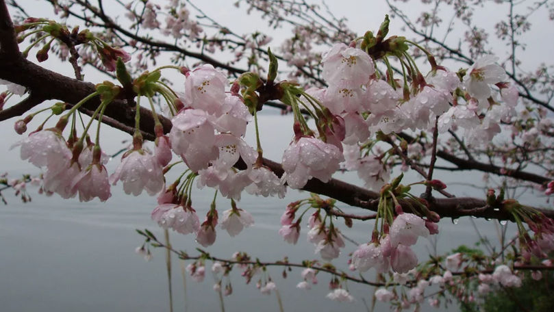 В среду ожидается похолодание: пройдут дожди, местами с грозами.