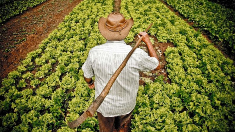 Fermierii, sceptici privind comisia creată de Ministerul Agriculturii