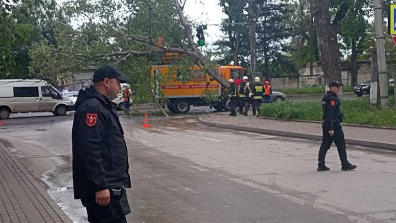 Bălți: O ramură a căzut peste firele electrice. Carabinierii, în acțiune