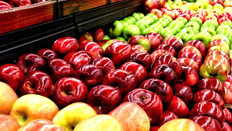 Zeci de mii de tone de mere, exportate de R. Moldova în luna martie