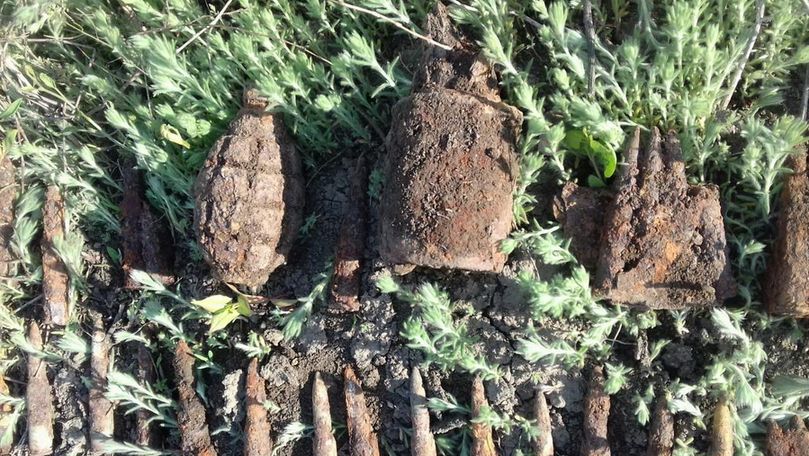 Peste 200 de muniții de război, găsite în grădina unui bărbat la Comrat