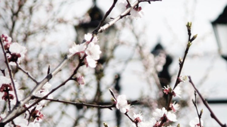 Среда обещает стать последним холодным днем на этой неделе в Молдове.