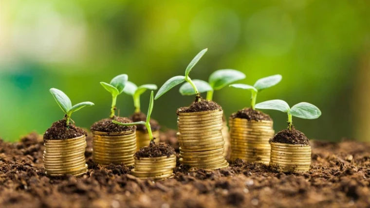 AIPA a autorizat spre plată 133 milioane de lei pentru agricultori