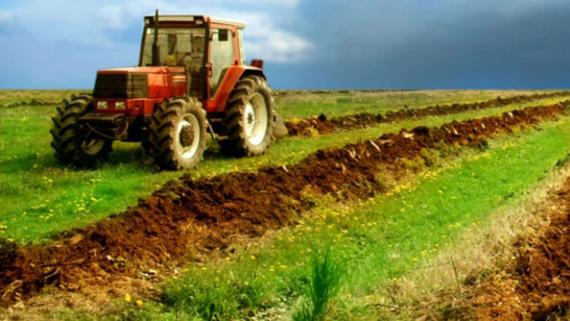 Dosarele pentru subvenţiile în agricultură pot fi depuse din 1 iulie