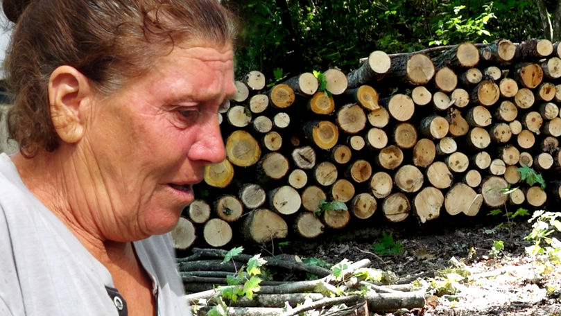 Autoritățile din Sângerei, nemulțumite de cum sunt distribuite lemnele