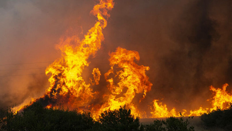 Incendiile de vegetație fac prăpăd în Bulgaria din cauza caniculei