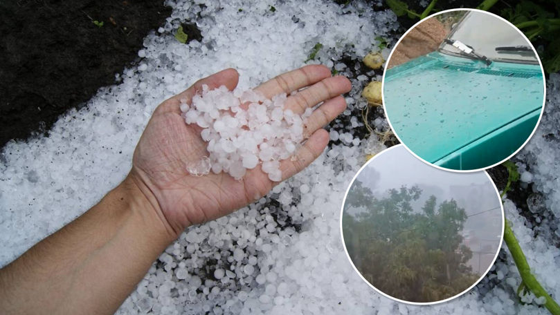 Ploaie cu grindină la Grigoriopol. Zeci de copaci, doborâți în alte sate