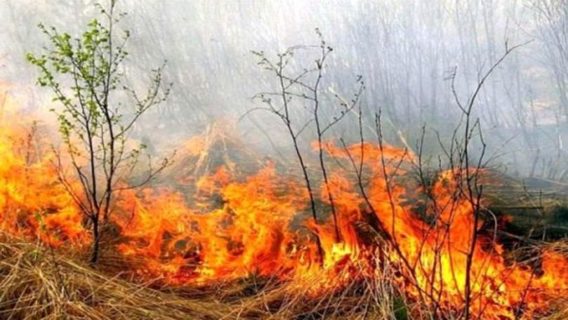 Incendiu de vegetație într-un parc din sectorul Râșcani al Capitalei