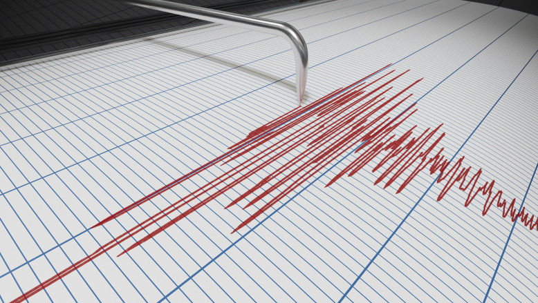 Un cutremur cu magnitudinea de 4,9 s-a produs în România