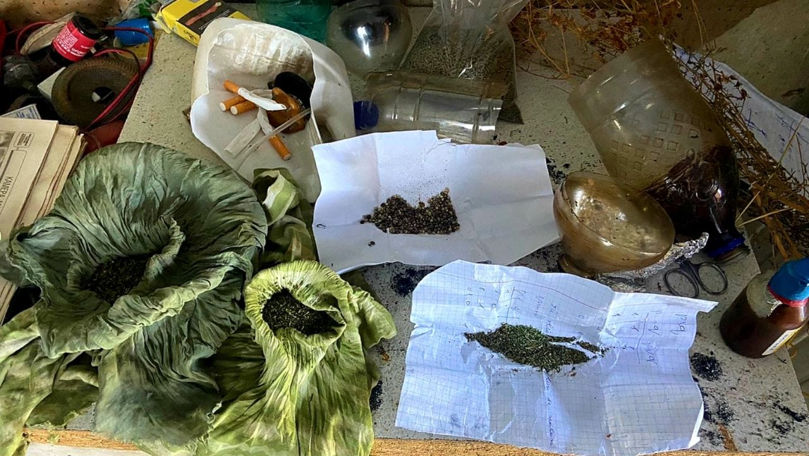 Operațiunea Mac-2023: Marijuana și cânepă depistate la nordul țării