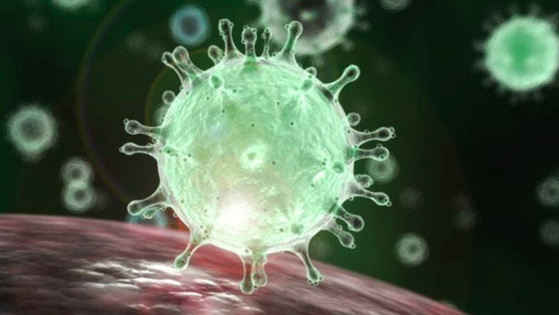 OMS: Țările să se pregătească pentru răspândirea virusului ucigaș