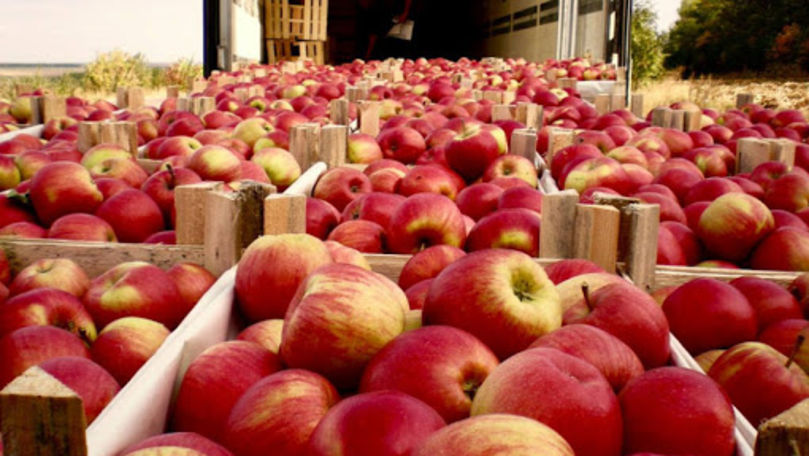 România, lider în topul țărilor în care Moldova a exportat anul trecut