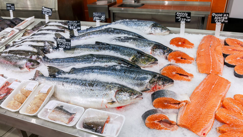 Названа самая полезная для здоровья рыба. Фото: ria.ru.