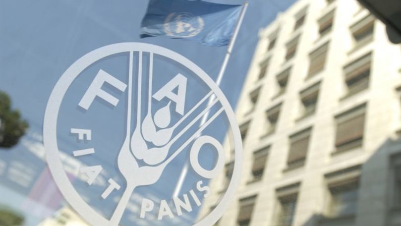 FAO va implementa în Moldova un proiect privind schimbările climatice